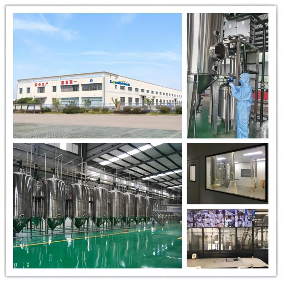 hydrolyzed sponge-LonierHerb Factory hydrolyzed sponge-LonierHerb Factory