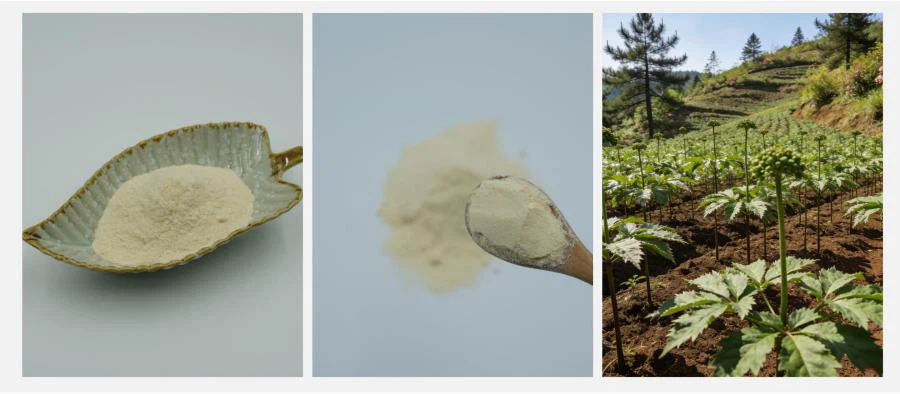 Tiencha Notoginseng Extract Tiencha Notoginseng Extract