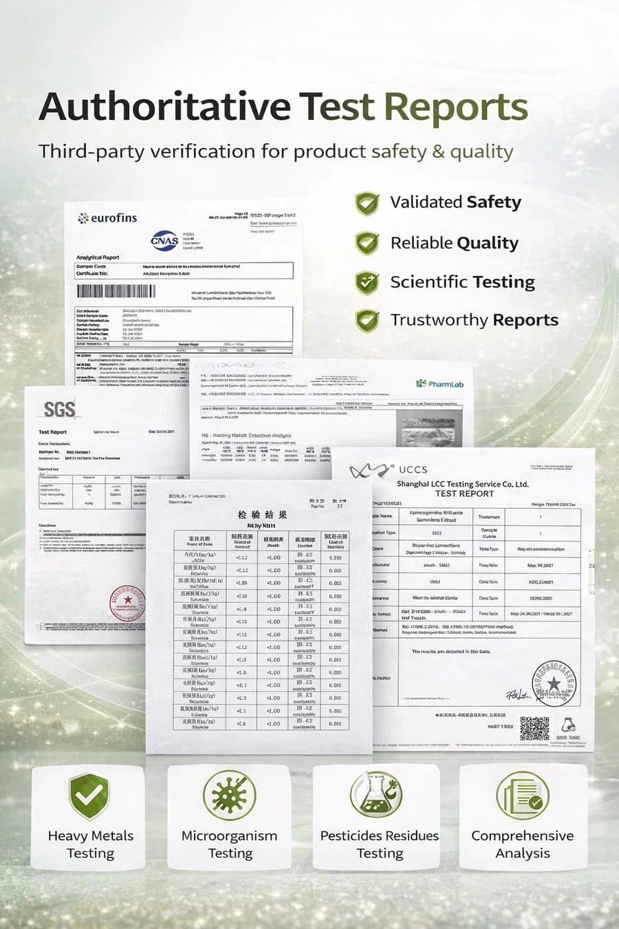 Test Report Test Report