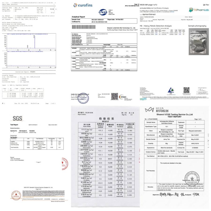 Test Report Test Report