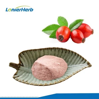 Rosehip Fruit Powder
